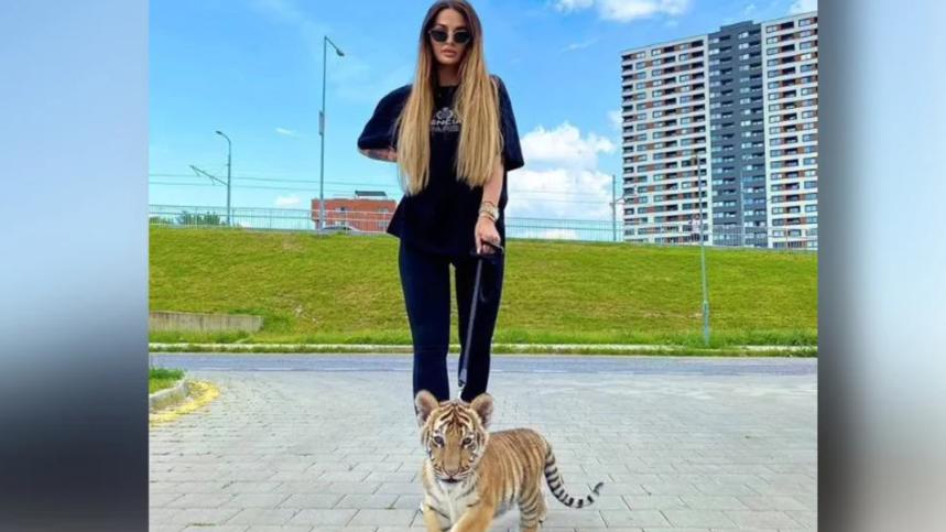 Eine slowakische Influencerin posiert mit einem Tigerbaby an der Leine. In einigen ihrer Posts erwähnt sie den Zoo von Jozef Bajanek.