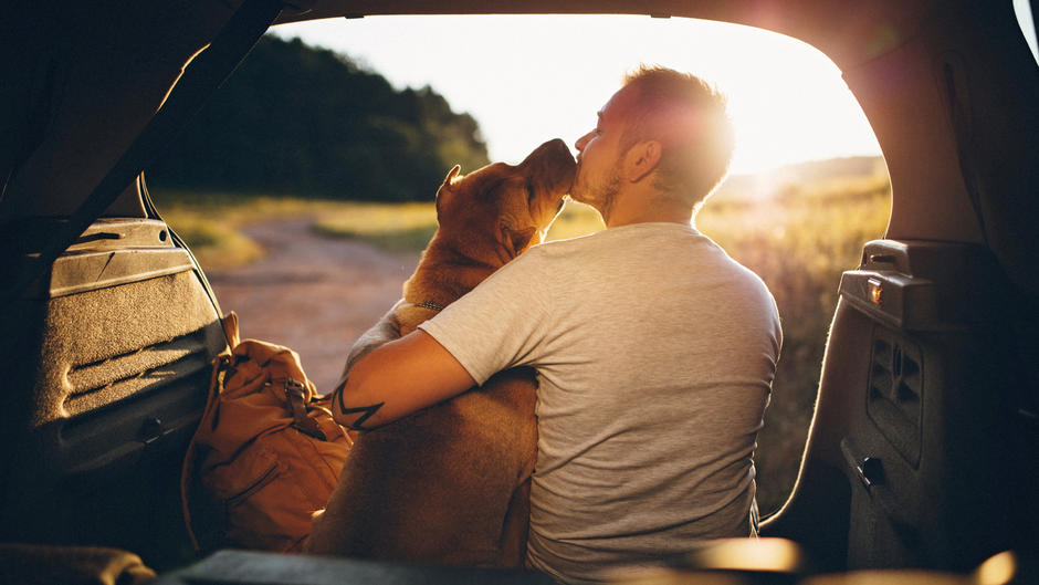 Urlaub Mit Hund: Am Meer Oder In Den Bergen - Drei Top-Ziele Für Mensch ...