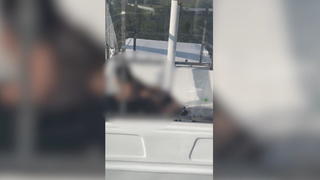 so-ein-hochstapler-lieferant-transportiert-30-pizzen-auf-einrad