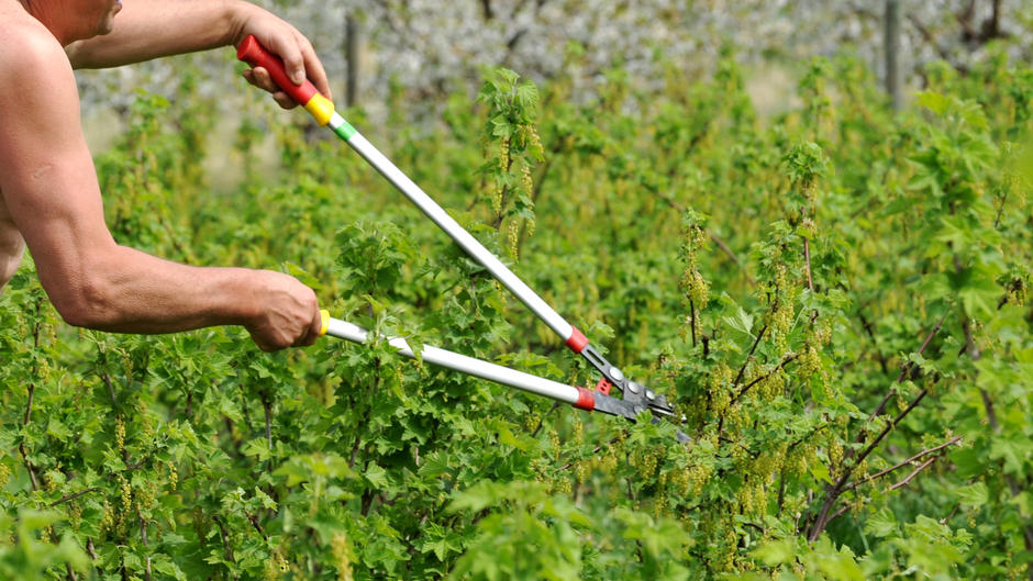 Bayern Mann arbeitet nackt im Garten Nachbar ruft die Polizei