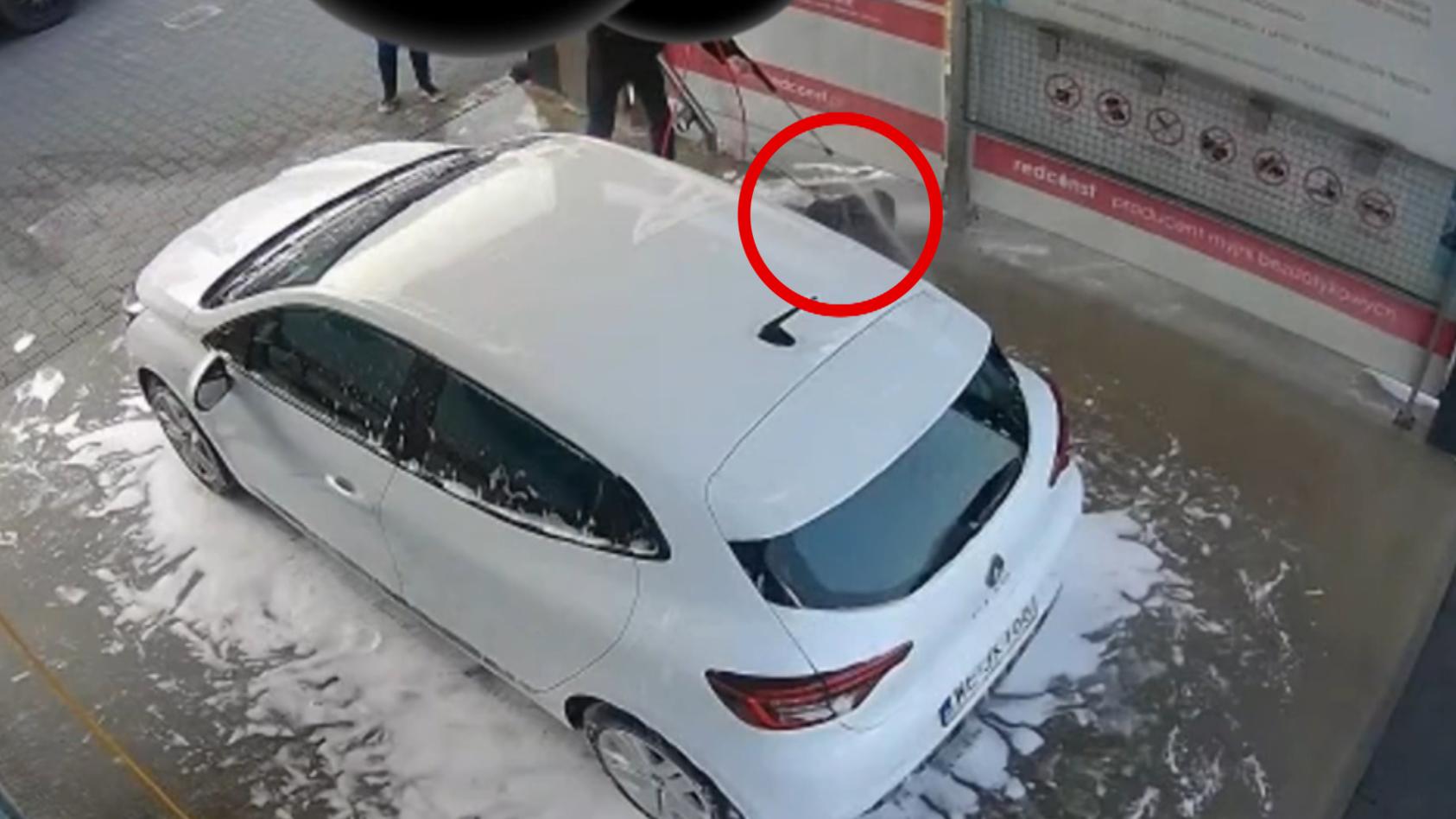 in-polen-qualte-ein-mann-seinen-hund-als-er-eigentlich-sein-auto-waschen-wollte-nun-wird-er-angeklagt