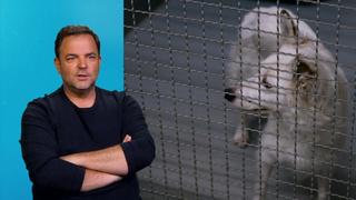 mario-basler-beweist-mut-er-geht-bei-park-aufruhr-dazwischen-einer-hat-sogar-ein-messer