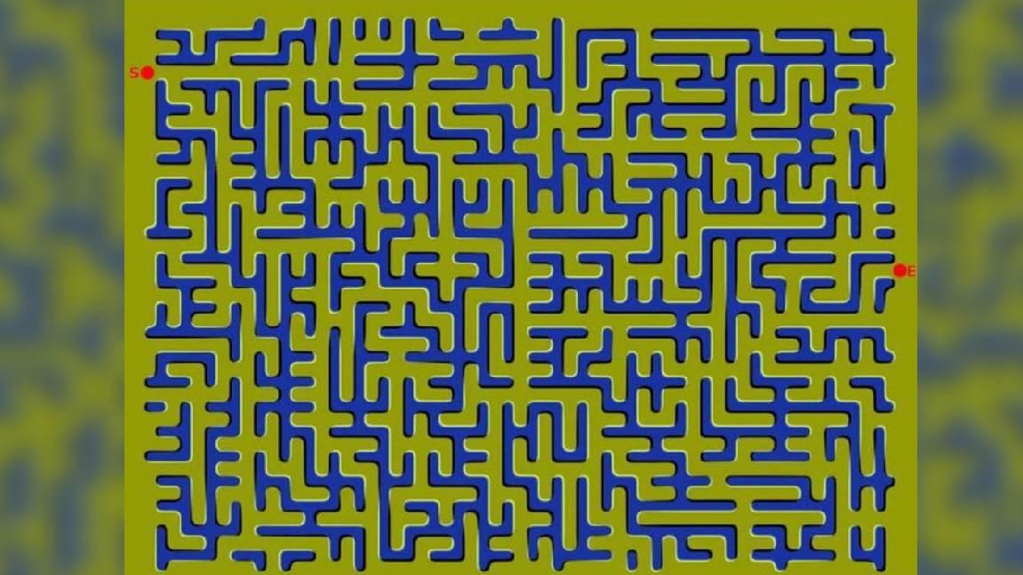 Labyrinth