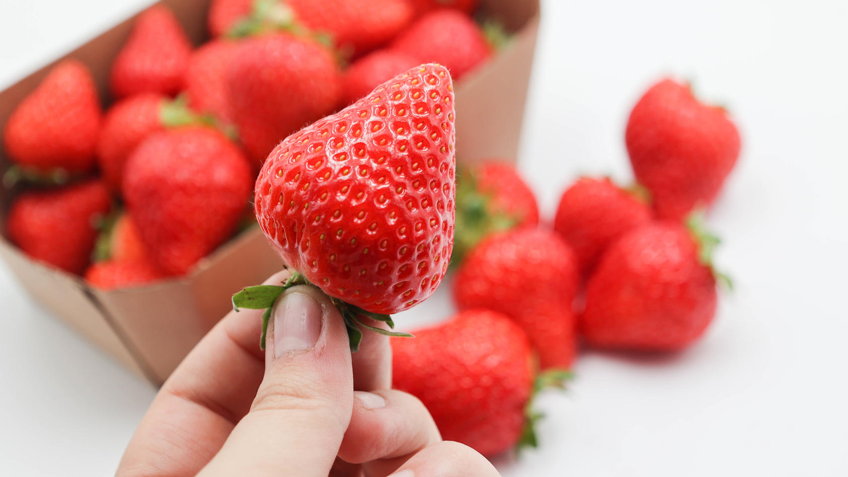 Alarmierendes Test-Ergebnis - Viele Erdbeeren mit Pestiziden belastet