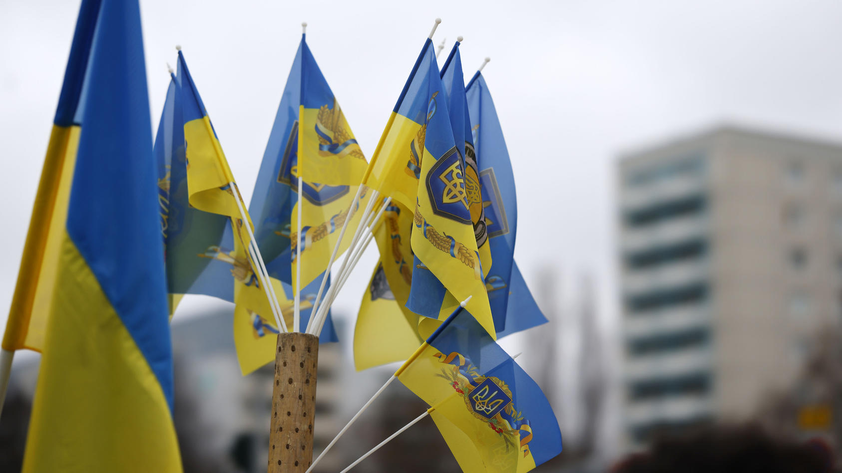 Wer mit einer gelb-blauen Fahne in Russland auf die Straße geht, riskiert direkt verhaftet zu werden. Doch auch eine Jacke in diesen Fahnen kann schon ein Grund sein, von der Polizei mitgenommen zu werden.
