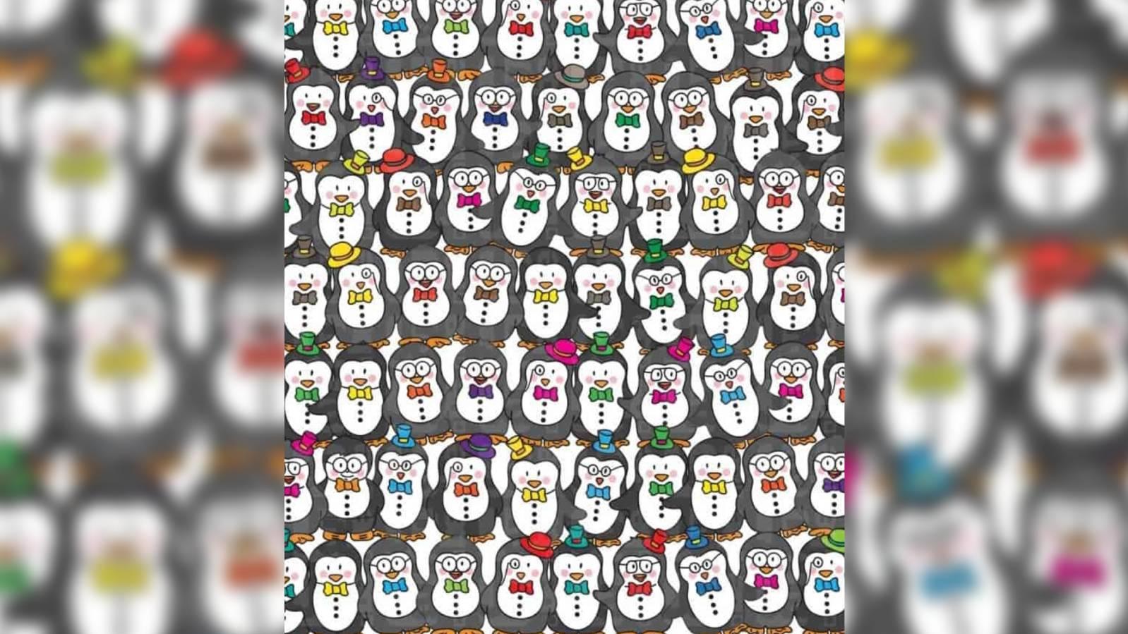 in-diesem-suchbild-sind-die-pinguine-los-doch-irgendwo-hat-sich-ein-betruger-versteckt-finden-sie-ihn