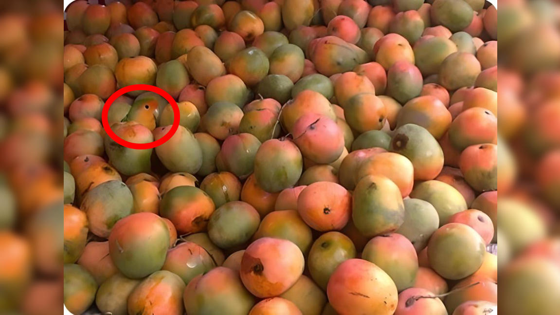Auflösung Suchbild
