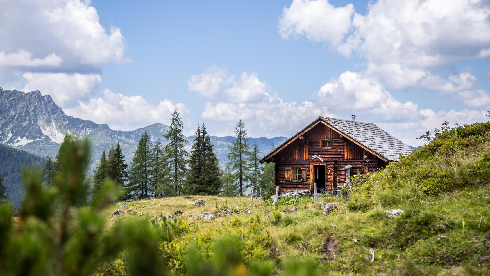 auf-einer-alm-gibt-es-die-besten-gelegenheiten-um-die-seele-baumeln-zu-lassen