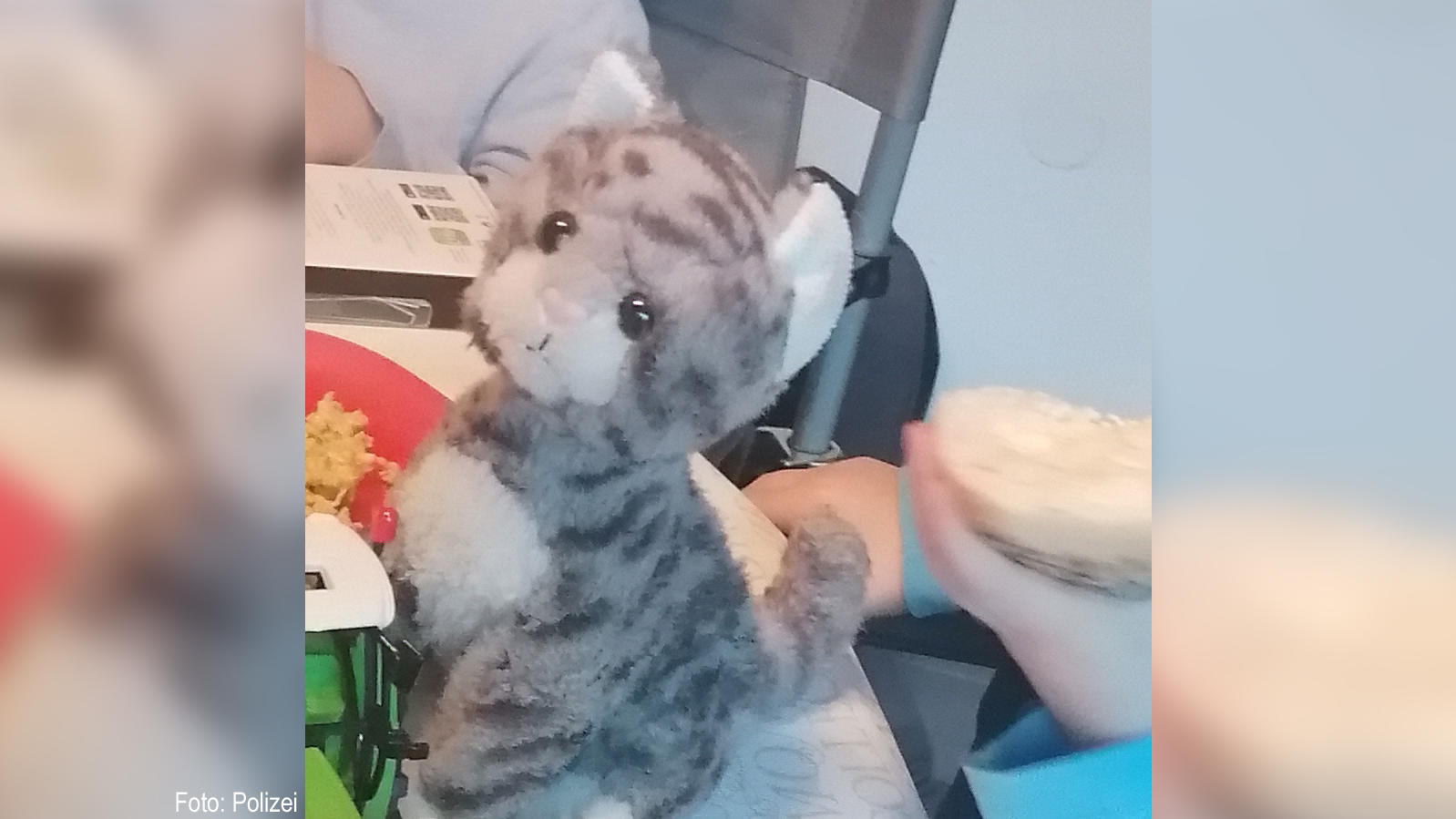 Fahndungsfoto von Katzi