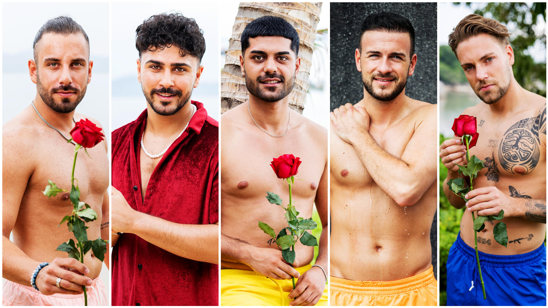 Bachelor in Paradise 2023 Kandidaten, Stream, Sendetermine & Co. DIE