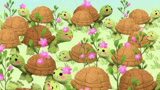 Suchbild: Zwischen den Schildkröten versteckt sich eine Schnecke
