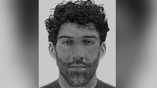 Vergewaltiger Hagen: Phantombild