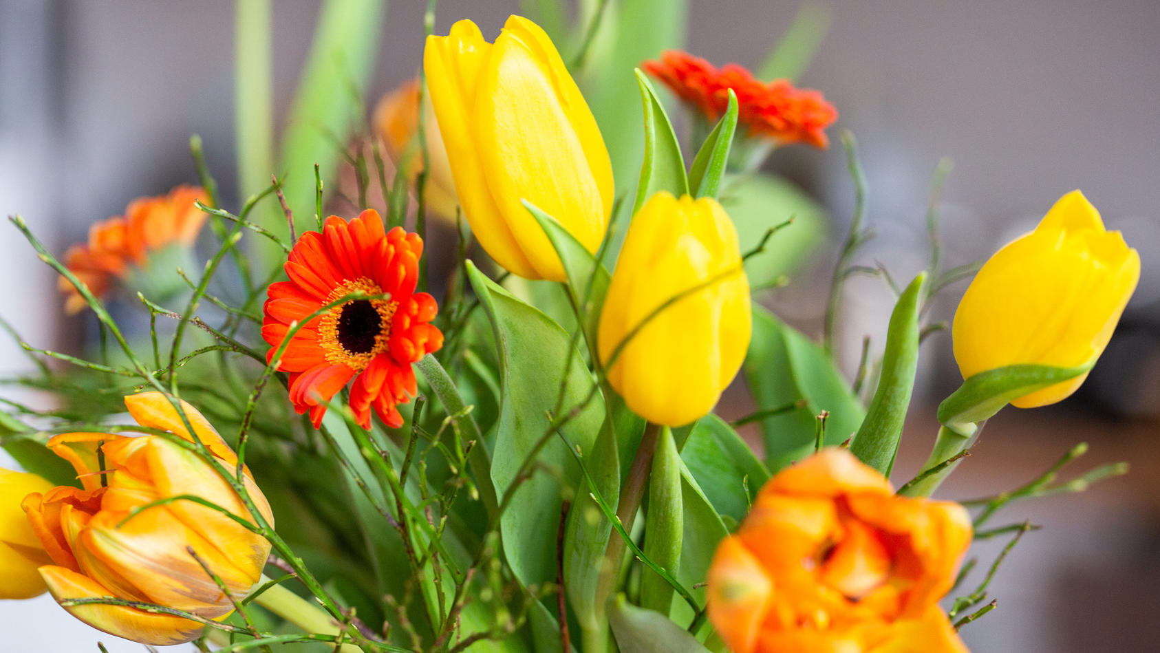 Blumen zum Valentinstag Darauf solltet ihr beim Kauf unbedingt achten