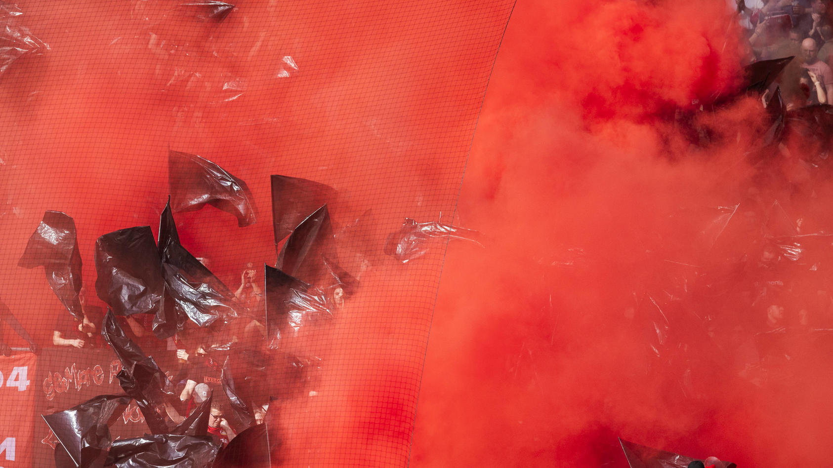 Émeutes au 1. FC Cologne contre Leverkusen : le chaos du football fait perdre connaissance aux dossiers !