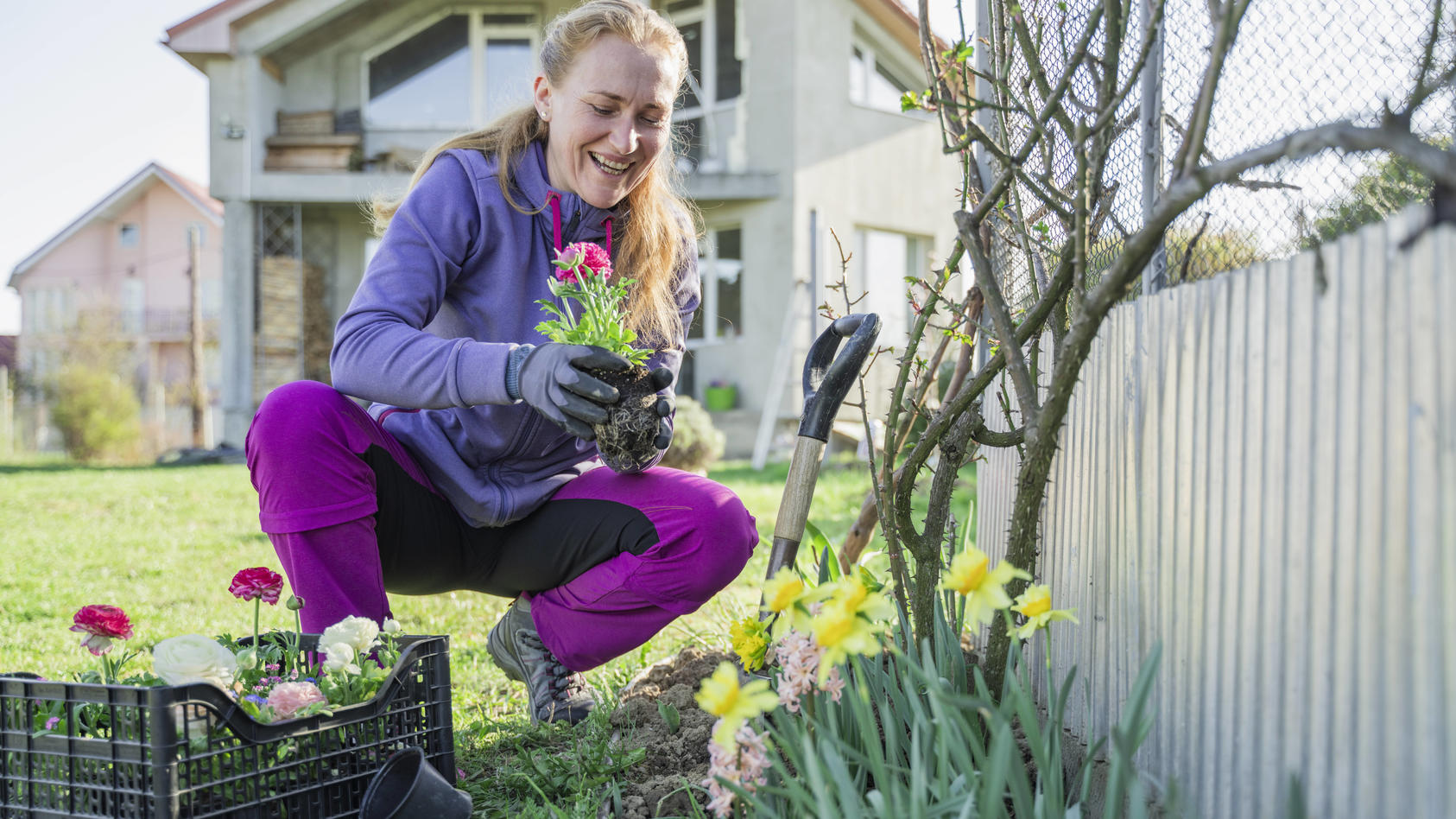 Gartenarbeit im Frühjahr DAS sind die wichtigsten Todos im März