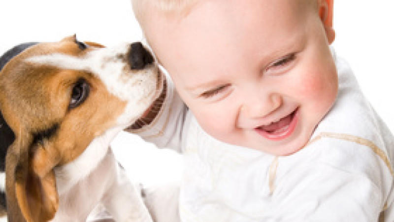 Viele Kinder wünschen sich Tiere als Geschenk