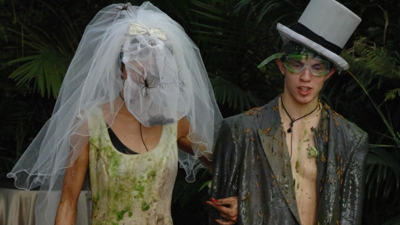 Dschungelcamp 2013 Fiona Erdmann Und Joey Heindle Treten Zur Dschungel Hochzeit An
