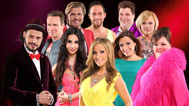 Diese zehn Kandidaten werden mit den Profitänzern um den Titel "Dancing Star 2013" kämpfen.