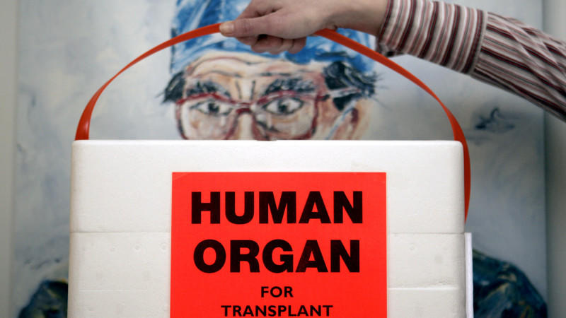Eine Mitarbeiterin der Deutschen Stiftung für Organtransplantation in Neu-Isenburg (Kreis Offenbach) hält am 18.02.2005 in einem Büro der Organisation eine spezielle Kühlbox für Spenderorgane vor das Bild eines Chirurgen. Angesichts der Leip