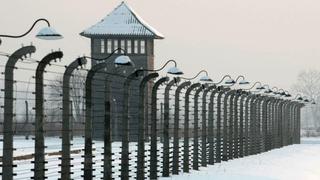 ARCHIV - Ein Wachturm steht an einem Zaun im ehemaligen KZ Auschwitz-Birkenau (Archivfoto vom 27.01.2010). Foto: EPA/Leszek Szymanski POLAND OUT (Zu dpa «Das Vernichtungslager Auschwitz - Symbol für den Holocaust» vom 06.04.2013) +++(c) dpa - Bildfunk+++