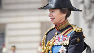 Princess Anne arriving for the Horse Guards Parade for the Trooping the Colour ceremony in London, Britain, 15 June 2013. Trooping the Colour is a ceremony to honour the Queen's official birthday. Photo: Patrick van Katwijk / NETHERLANDS AND FRANCE OUT