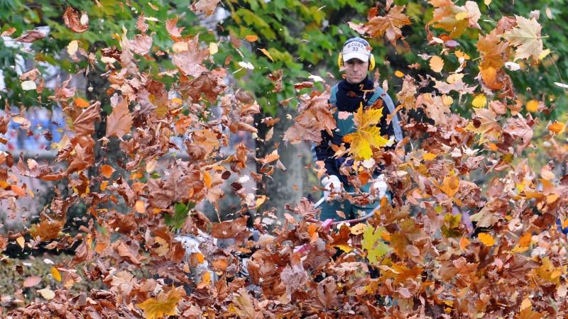 Kaum noch zu sehen ist ein junger Mann, der am Mittwoch (05.11.2008) am Frankfurter Mainufer das Laub mit einer Maschine auf einen Haufen bläst. Das Wetter zeigt sich wechselhaft mit Temperaturen um 10 Grad. Foto: Frank May dpa/lhe +++(c) dpa - Bildf