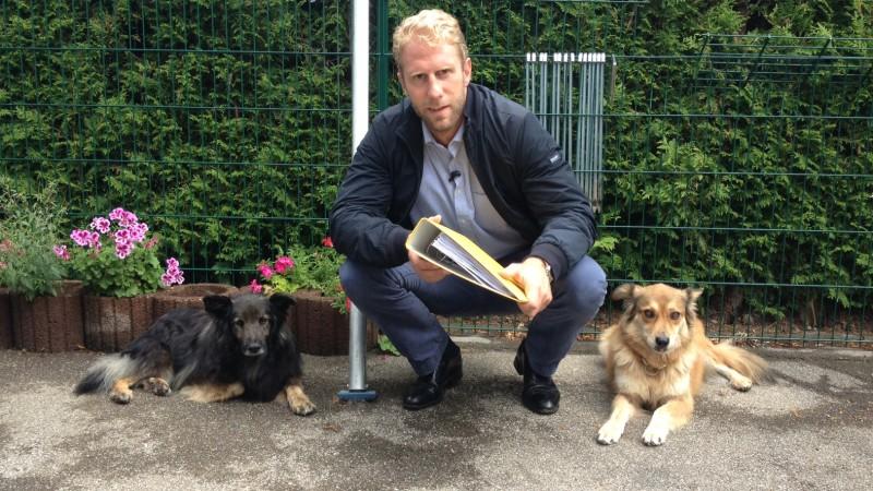 Christopher Posch Spezial - Meine besten Fälle: Tiere