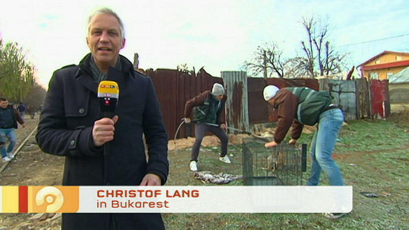 In Rumänien werden Straßenhunde brutal gejagt. RTL-Reporter Christof Lang geht der Wahrheit auf den Grund.
