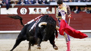 epa04219690 Spanish bullfighter Alejandro Talavante fights against his first bull of the evening during the 13th bullfight held on the occassion of the San Isidro Fest at Las Ventas bullring in Madrid, Spain, 22 May 2014. EPA/ALBERTO MARTIN +++(c) dpa - Bildfunk+++