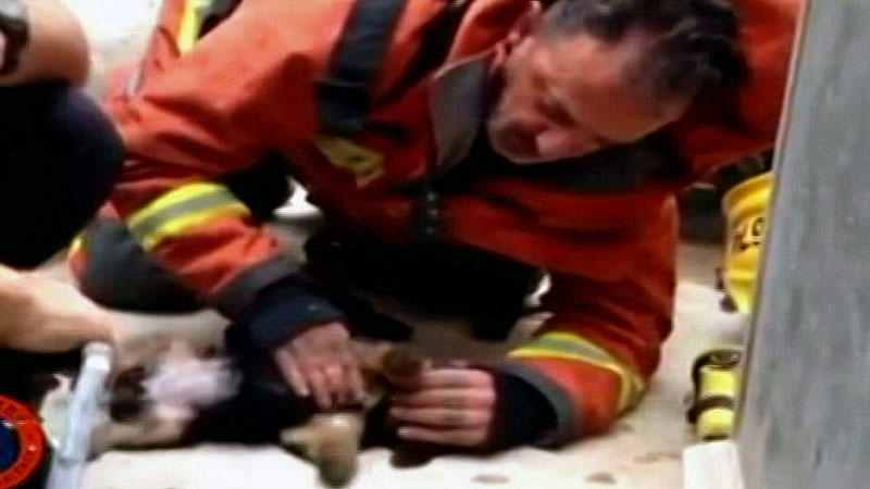 Im spanischen Sagunto reanimiert ein Feuerwehrmann reanimiert einen Hundewelpen.