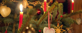 Die Zweige einer Blautanne sind am 24.12.2012 in Oberhof (Thüringen) mit brennenden Kerzen, Herzen aus bemaltem Holz, Weihnachtssternen und kleinen Kugeln geschmückt. Foto: Soeren Stache
