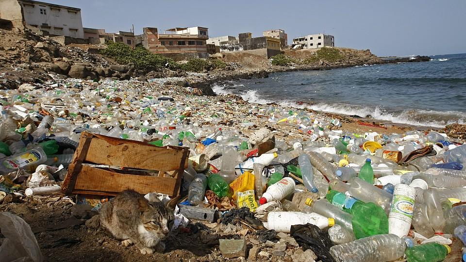 Plastikmüll in den Meeren