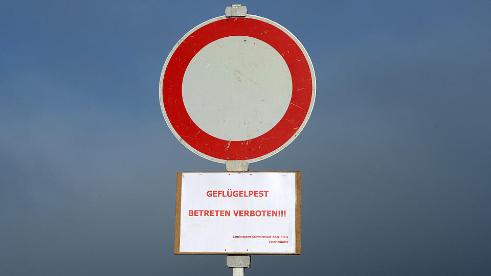 Sperrzone um Vogelgrippe befallenen Betrieb in Cloppenburg / Niedersachsen