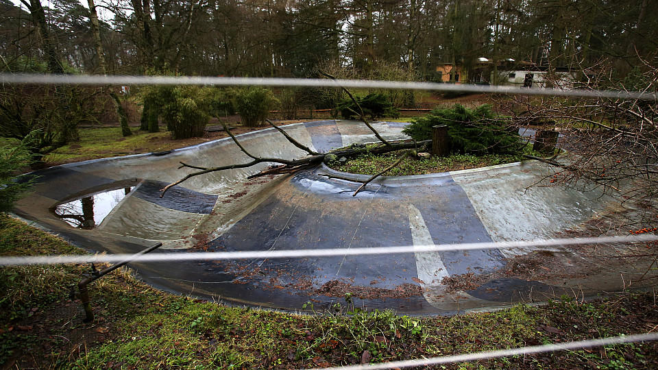 Das Becken für Wasservögel neben dem Gehege der Weißstörche im Rostocker Zoo ist jetzt leer.