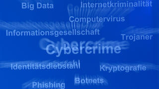 ARCHIV - Schlagworte stehen am 12.11.2013 am Rande der Herbsttagung des Bundeskriminalamts (BKA) in den Rhein-Main-Hallen in Wiesbaden (Hessen) auf einem Plakat (Aufnahme mit Zoomeffekt). Internet-Betrug ist die am stärksten wachsende Kriminalität.  Foto: Arne Dedert/dpa +++(c) dpa - Bildfunk+++