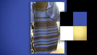 Kleid schwarz blau 16 9