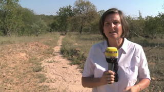Nicole Macheroux-Denault Sdafrika Wilderer