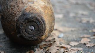 Eine entschärfte 250kg US-Fliegerbombe liegt am 02.10.2014 in einem Wald in Potsdam (Brandenburg). Der Blindgänger aus dem 2.Weltkrieg wurde in der Nähe des Potsdamer Regierungsviertels entdeckt. Foto: Ralf Hirschberger/dpa