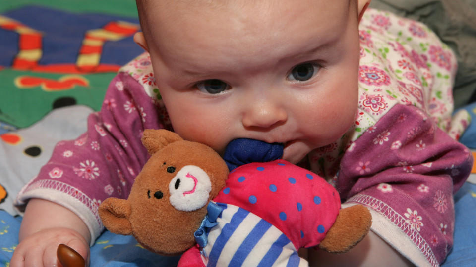 Da Babys auch häufiger an ihren Plüschtieren nuckeln ist vor allem bei Material und Qualität Vorsicht geboten.
