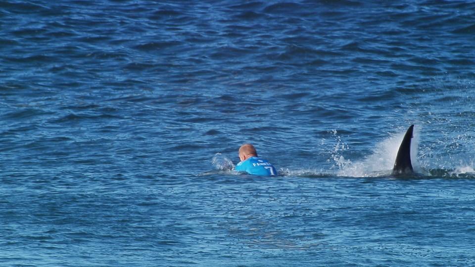 Südafrika: Surfer Mick Fanning wehrt Hai-Angriff ab