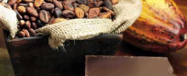 Einer aktuellen Studie zufolge besteht ein direkter Zusammenhang zwischen dem in Kakao enthaltenen Flavonoid (-)-Epicatechin und einem gesunden Herz-Kreislauf-System
