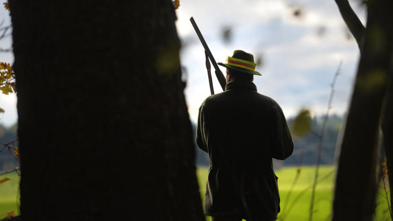 Ein Jäger mit Gewehr steht am Waldrand (Symbolbild)