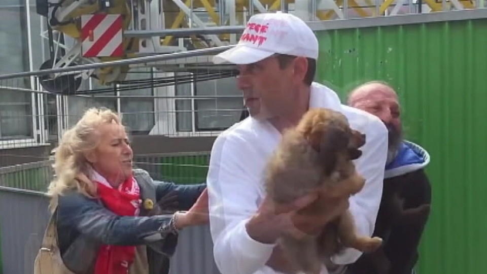 Tierschutzer Haben Einem Obdachlosen Seinen Hund Weggenommen