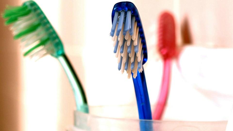 Zahnbürsten werden schnell zum Bakterien-Herd