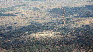 epa04975658 An undated handout image released on 13 October 2015 by the West Australian (WA) police shows the area where an experienced bushman went missing in a remote part of Western Australia. Reginald George Foggerdy, 62, survived for six days without water and eating black ants after he went missing last week near the Shooter's Shack camp, about 170km east of Laverton. EPA/WA POLICE AUSTRALIA AND NEW ZEALAND OUT - BEST AVAILABLE QUALITY HANDOUT EDITORIAL USE ONLY +++(c) dpa - Bildfunk+++