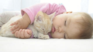 Baby and cat sleeping together on white sheet