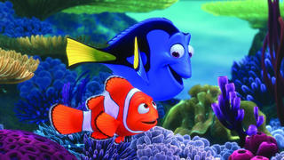 Ein altbekanntes Erfolgs-Duo: Dory und Nemo