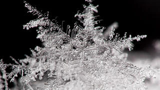 ARCHIV - Ein Schneekristall, aufgenommen am 06.01.2010 in Frankfurt (Oder) mit einem speziellen Makro-Objektiv. Er ist fluffig, flockig, kalt - und die Eskimos geben ihm rund 100 verschiedene Namen. Flocken, die in deutschen Regionen fallen, können bis zu fünf Millimeter groß werden. Foto: Patrick Pleul dpa (zu dpa 0486 vom 02.12.2010)  +++(c) dpa - Bildfunk+++