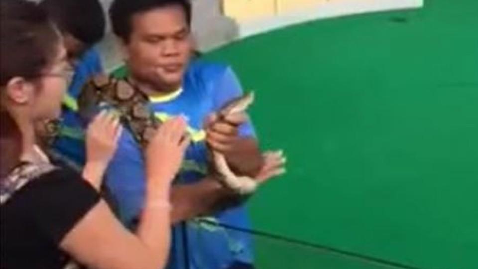 Thailand Schlangenshow: Python beißt Frau in die Nase