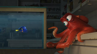 Dory landet wie Nemo auf der Suche nach ihrer Familie in einem Aquarium